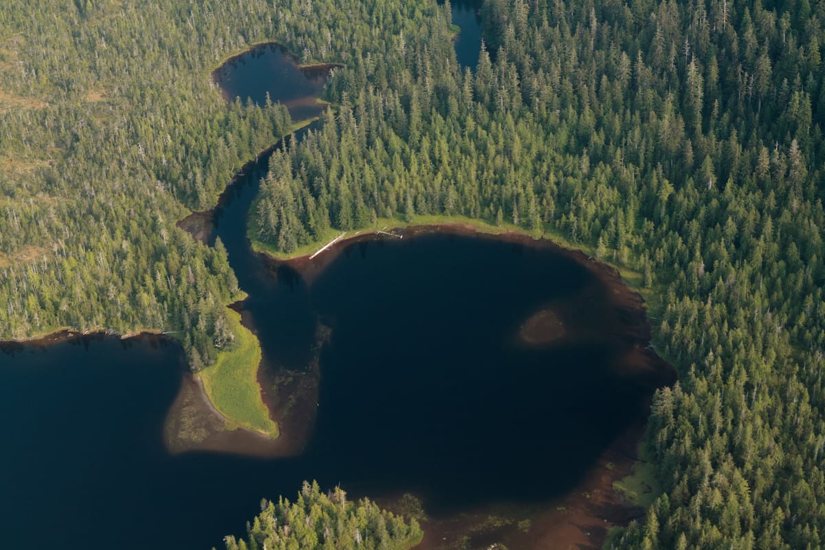 The Alaska Roadless Rule will jeopardize the nation's largest National Forest, pictured here.
